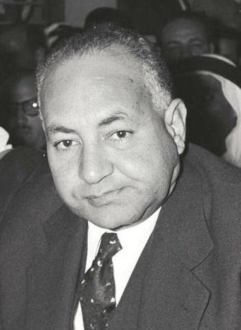 صورة المؤلف محمد فؤاد جلال